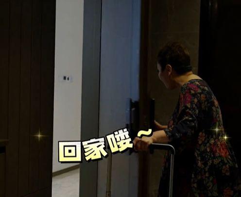 网红爆料向华强视频大全,向华强视频大全，揭秘娱乐圈幕后大佬的真实生活  第1张